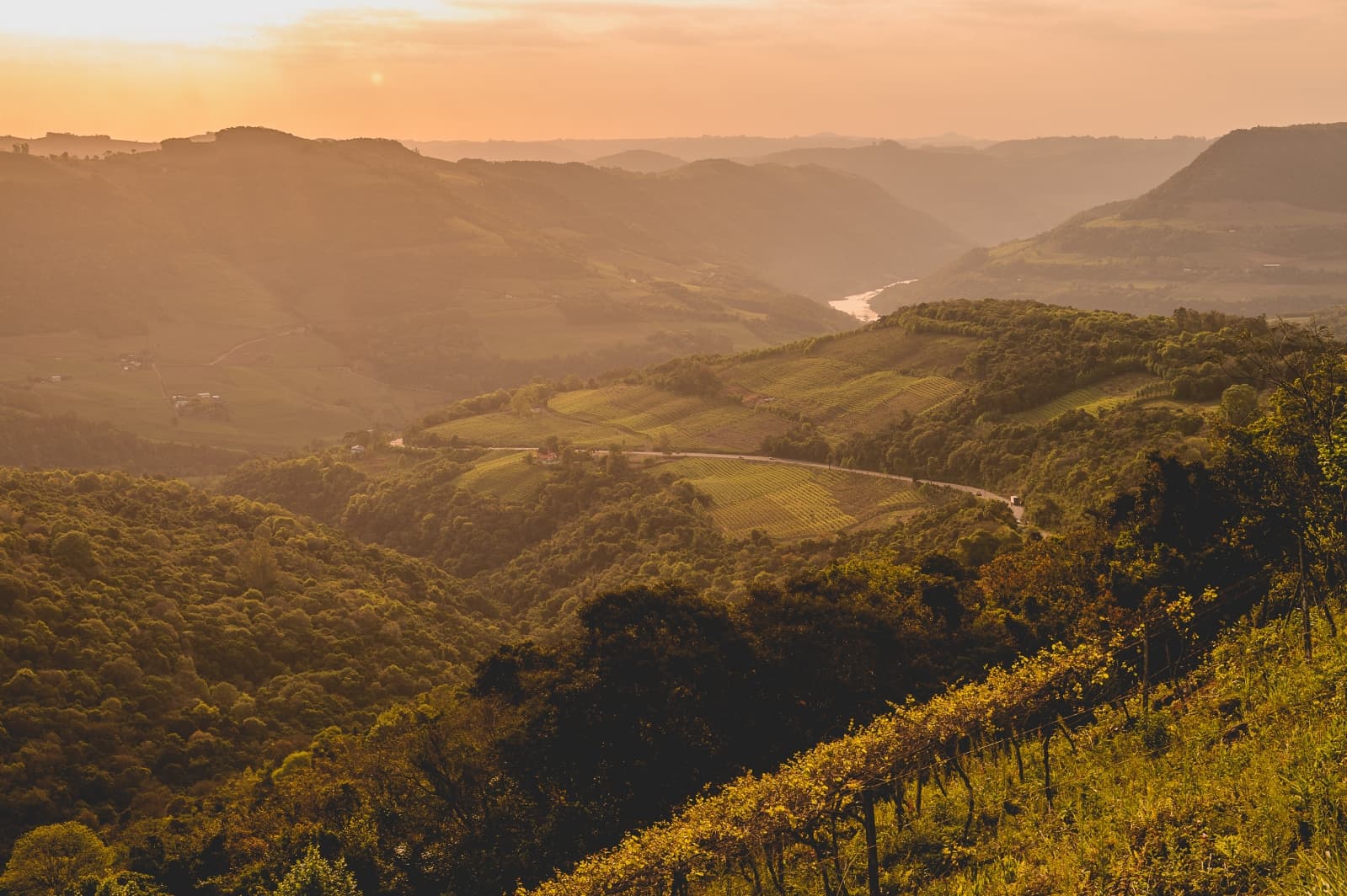 wine-safari
