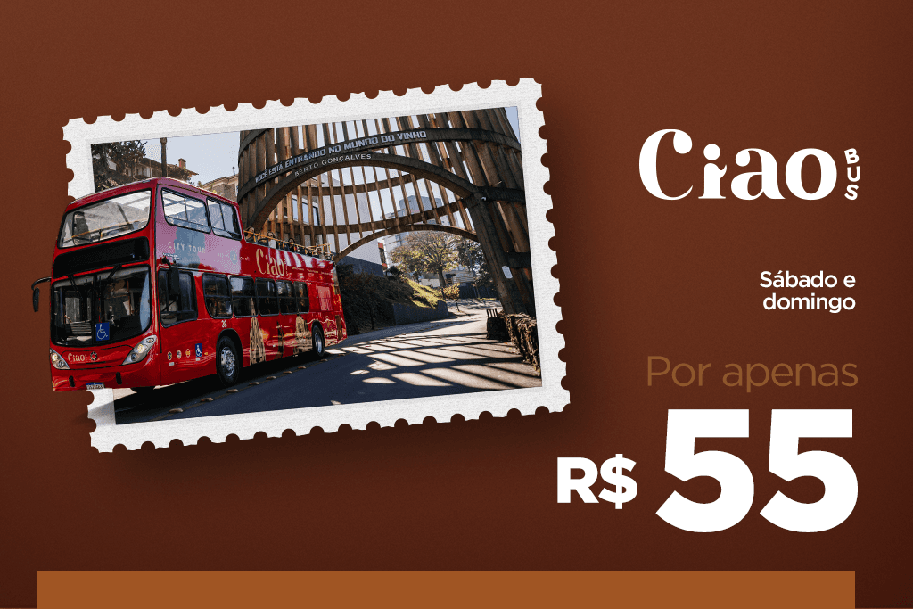 Blog_Sou_do_sul_Imagem02