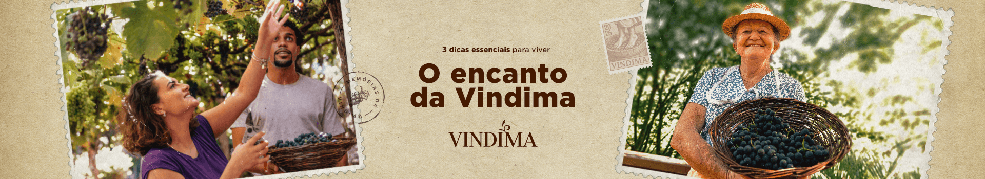 Blog_Banner_Vindima_topo