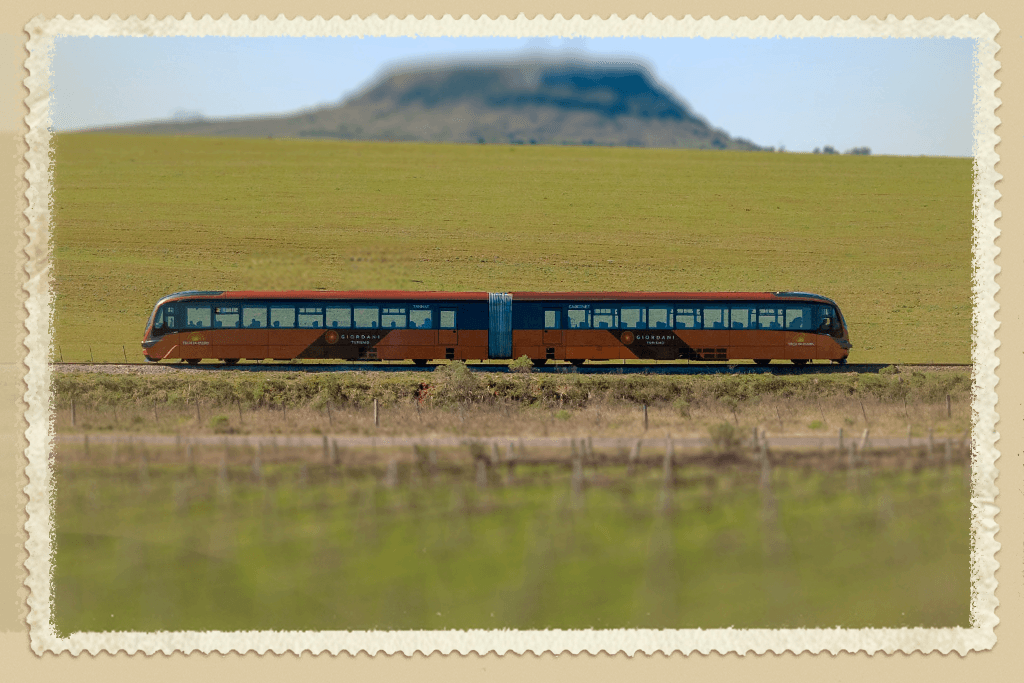 02 (10)